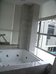 Angullia Park Residences @ Orchard (D10), Apartment #578672841